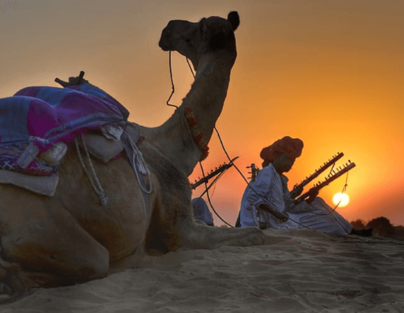 Morning Desert Safari