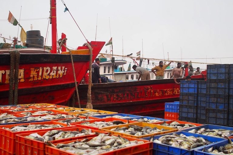 Image: Experience Thrilling Entertainment with JDB's Cai Shen Fishing Game Demo in